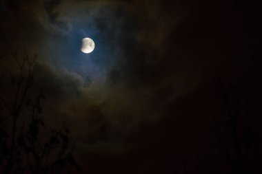 Ay tutulması full moon. Süper mavi kanlı ay ağaç siluet gece gökyüzü arka plan üzerinde üzerinde. Ay tutulması başlangıcı. Dünya'nın gölge aya düşüyor. Minsk, Beyaz Rusya, 21 Ocak 2019