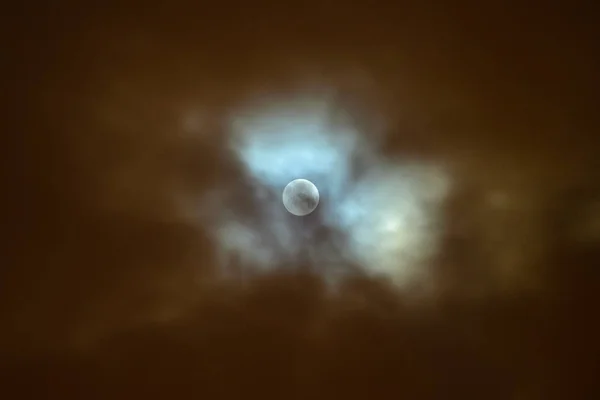 Eclipse Lunar Lua Cheia Super Azul Sangrento Lua Sobre Árvore — Fotografia de Stock