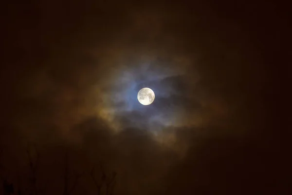 Eclipse Lunar Lua Cheia Super Azul Sangrento Lua Sobre Árvore — Fotografia de Stock