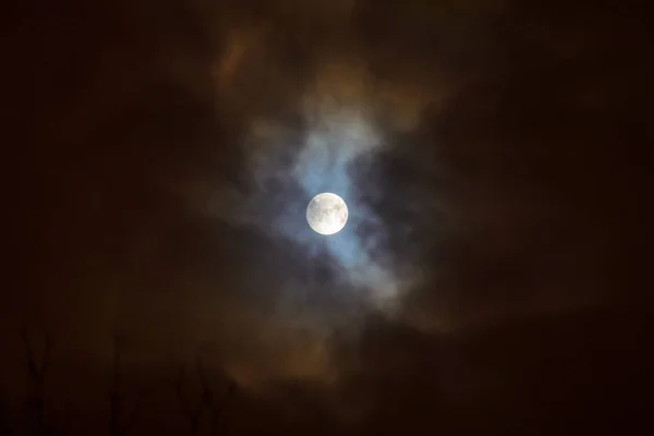 Gerhana Bulan Bulan Purnama Bulan Super Biru Berdarah Atas Siluet — Stok Foto