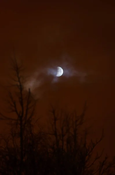 Éclipse Lunaire Pleine Lune Super Lune Bleue Sanglante Sur Silhouette — Photo