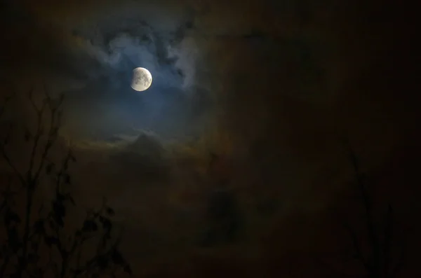 满月月食 超级蓝色血淋淋的月亮在树剪影在夜空背景 月食的开始 地球的影子落在月球上 — 图库照片