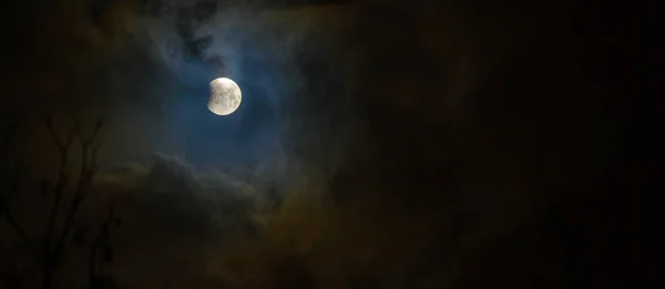 Eclipsa Luna Plina Super Albastru Lună Sângeroasă Peste Silueta Copac — Fotografie, imagine de stoc