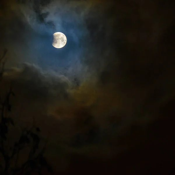 満月の月の日食 スーパー青血月夜空の背景の木のシルエット 月食の始まり 月に落ちる地球の影 — ストック写真