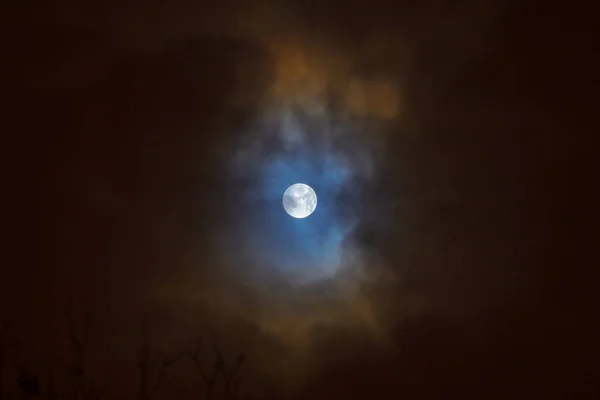 满月月食 超级蓝色血淋淋的月亮在树剪影在夜空背景 白俄罗斯明斯克 2019年1月21日 — 图库照片