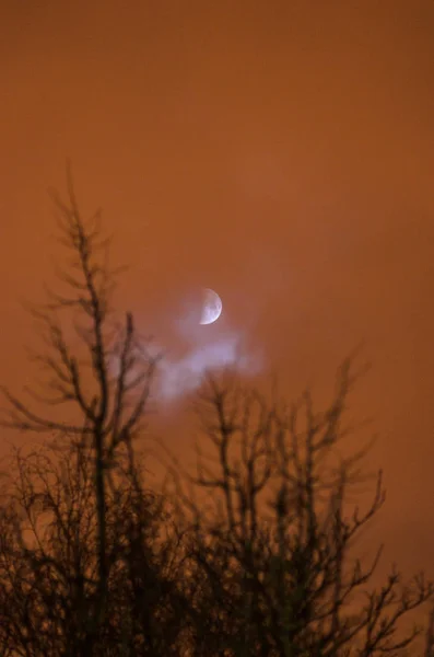 Moon eclipse in full moon. Super blue bloody moon over tree silhouette on night sky background. The beginning of the lunar eclipse. Earth\'s shadow falls to the moon. Minsk, Belarus, January 21, 2019