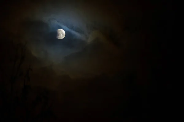 Eclipsa Luna Plina Super Albastru Lună Sângeroasă Peste Silueta Copac — Fotografie, imagine de stoc