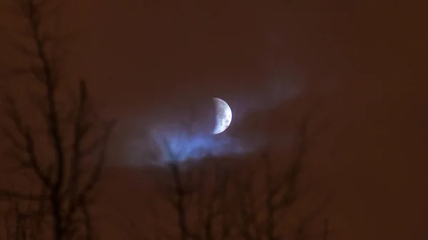 満月の月の日食 スーパー青血月夜空の背景の木のシルエット 月食の始まり 地球の影は月に落ちる 2019 ベラルーシのミンスク — ストック写真