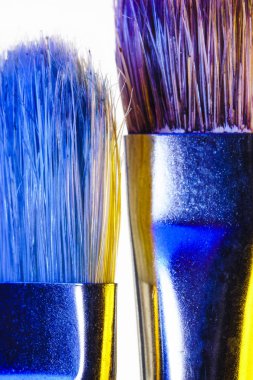 Boya fırçaları için yağlı boya, akrilik, guaş beyaz arka plan üzerinde sert sentetik kıllar ile. Makro zemin