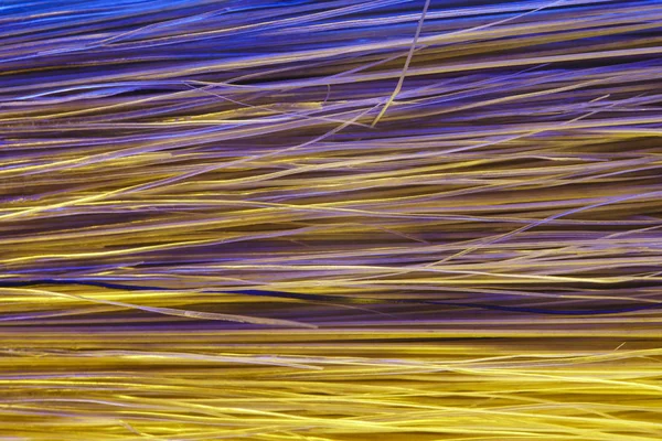 Bristle of Paint Brush. Macro Texture for Background