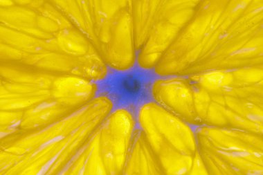 Makro olgun portakal için arka plan görüntüsü. Portakal dilim doku. Parlıyor