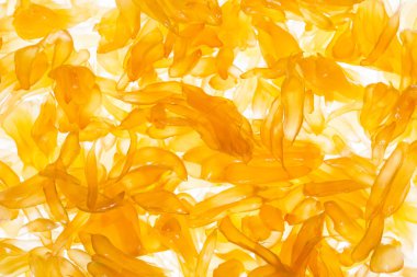 Pomelo meyve sulu veziküller arka plan. Pomelo meyve makro fotoğrafçılık. Vezikül, suyu Sacs, narenciye Carpels üzerinde beyaz parlıyor