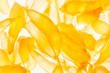 Pomelo meyve sulu veziküller arka plan. Pomelo meyve makro fotoğrafçılık. Vezikül, suyu Sacs, narenciye Carpels beyaz