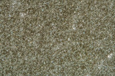 Sünger köpük doku makro arka plan. Arka plan sünger ince bir tabaka. Yarı saydam malzeme. Lifler