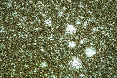 Sünger köpük doku makro arka plan. Arka plan sünger ince bir tabaka. Yarı saydam malzeme. Lifler