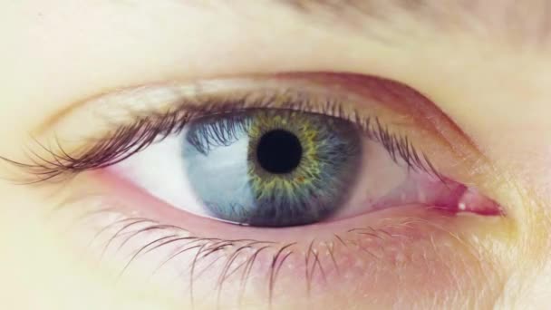 人間の目における人形制約プロセスのマクロビュー 明るい光の虹彩の制限 青い目の女性 より多くの光に触れる目の人形の仕事 — ストック動画