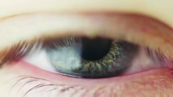 Makrosicht Des Pupillenverengungsprozesses Menschlichen Auge Verengung Der Iris Mit Hellem — Stockvideo