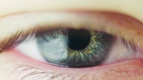 Macro View Pupil Constriction Process Human Eye Inglês Constrição Íris — Vídeo de Stock