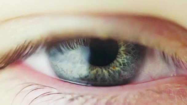 Macro View Pupil Constriction Folyamat Emberi Szemben Íriszek Szembenállása Fényes — Stock videók