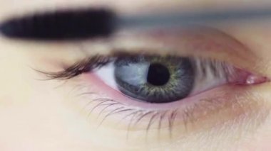 Makro Göz Manzarası. Kirpikleri mürekkeple boyamak. Macro Manzarası. Makyaj Konsepti. 