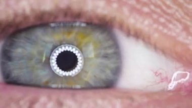 Hızlı Yanıp sönen İnsan Gözü 'nün Macro Manzarası. Makro fotoğrafçılık için halkalı diyot lambasının gözündeki yansıma