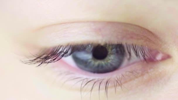 眼のマクロビュー インクでまつ毛を染める マクロビュー メイクコンセプト — ストック動画