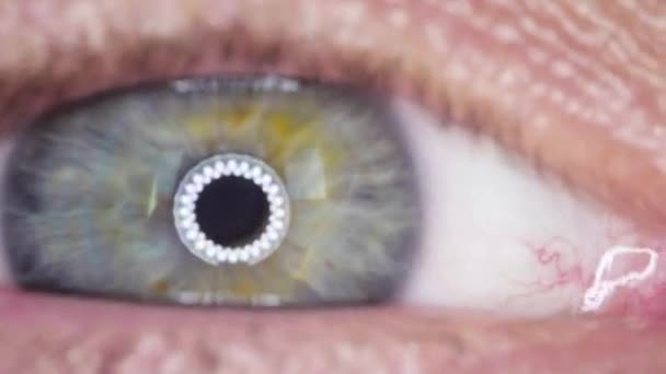 Макро Взгляд Быстрый Мигающий Человеческий Глаз Удар Глаз Кольцевого Диска — стоковое видео