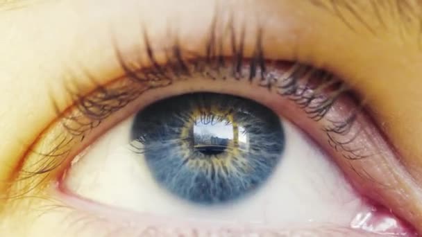 Blue Eye Beautiful Young Woman Looking Window Sunny Day Window — Stock Video