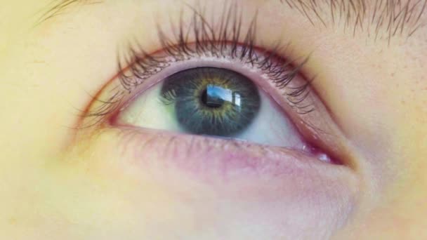 美しい若い女性の青い目窓と点滅を見て 目に映る窓の外の晴れた日 マクロビュー — ストック動画