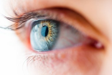 İnsan Gözü Makro Görünümü