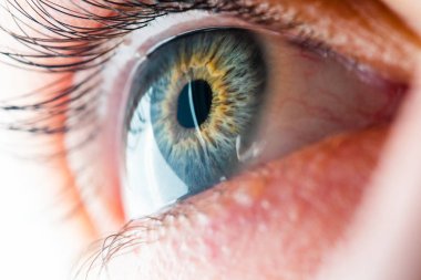 İnsan Gözü Makro Görünümü