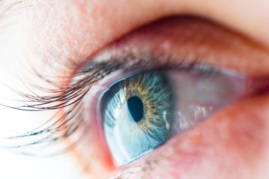 İnsan Gözü Makro Görünümü