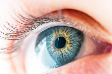 İnsan Gözü Makro Görünümü