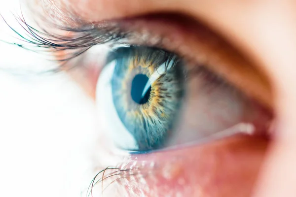 İnsan Gözü Makro Görünümü