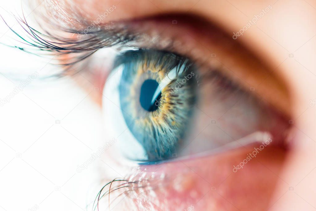 Human Eye Macro View