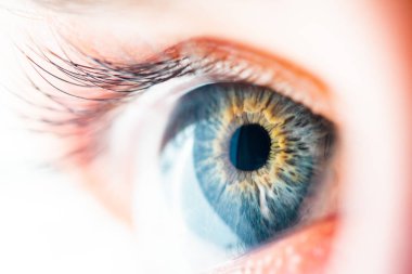 İnsan Gözü Makro Görünümü
