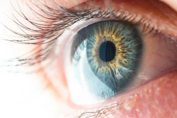Widok makro ludzkiego oka — Zdjęcie stockowe
