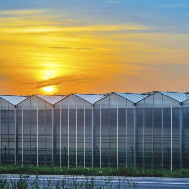 Sunset 'teki Büyük Endüstriyel Sera