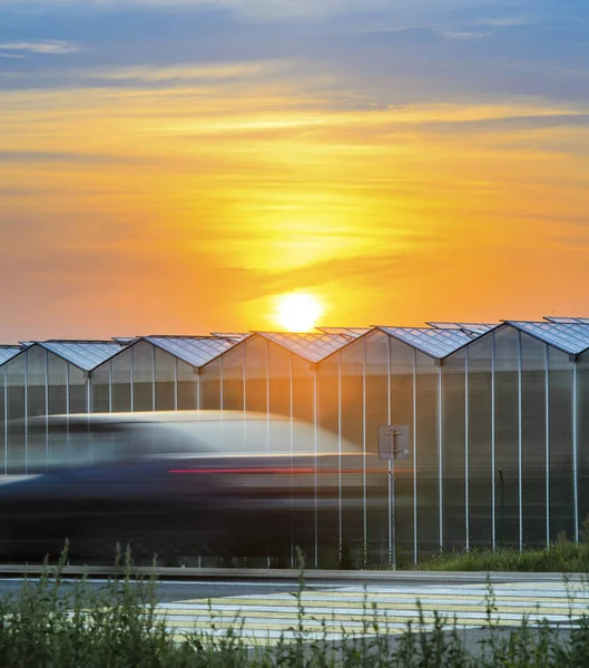 Highway Near the Greenhouse Plant at Sunset.