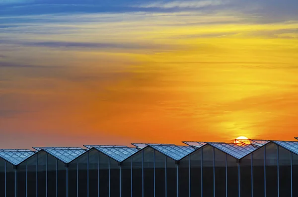 Nagy ipari üvegházház naplementekor — Stock Fotó