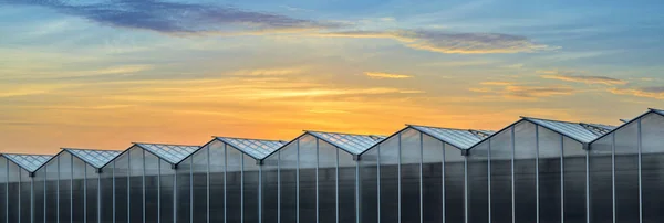 Gran invernadero industrial al atardecer — Foto de Stock