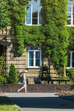 Ivy ile kaplı Eski Binanın Tuğla Cephesi