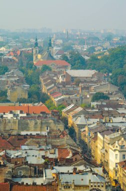 Lviv, Ukrayna - Puslu Eski Şehrin Panoraması