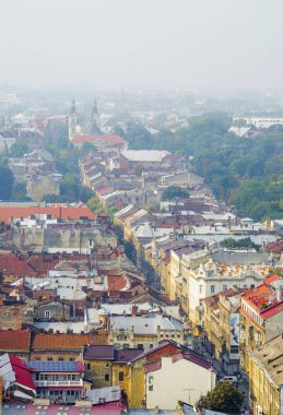 Lviv, Ukrayna - Puslu Eski Şehrin Panoraması