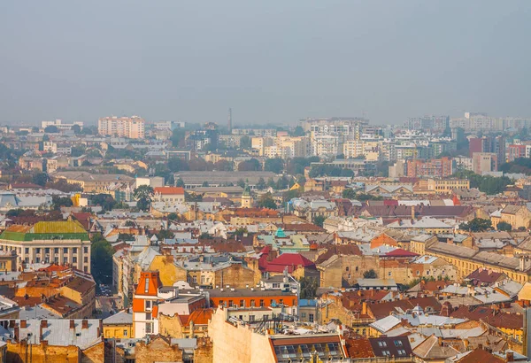 Lviv, Ukrayna - eski şehrin gündoğumunda panoraması