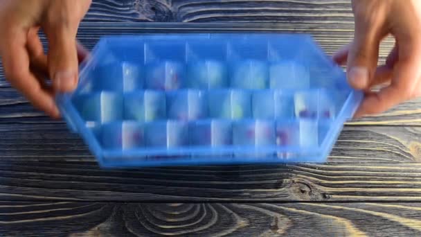 Человек Бросает Кубики Льда Свежими Ягодами Голубой Пластиковой Плесени Льда — стоковое видео