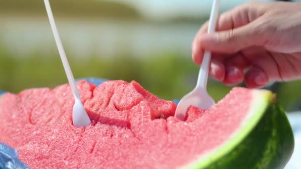 Jeune Femme Mangeant Pastèque Sur Plage Bonheur Repos Plage Mode — Video