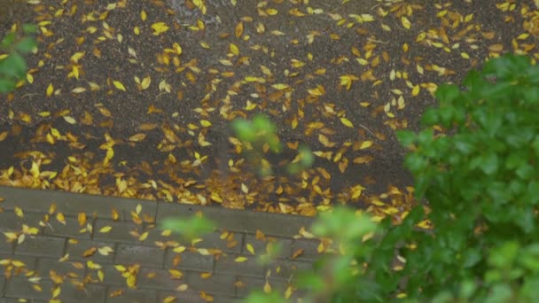 Puddle Pavimento Día Lluvioso Otoño Coche Acera — Vídeos de Stock