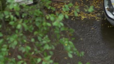 Yağmurlu bir sonbahar gününde kaldırımda su birikintisi. Araba kaldırımda.. 