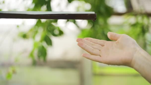 Het Regenwater Stroomt Van Afvoer Naar Arm Close Achtergrond Vervagen — Stockvideo